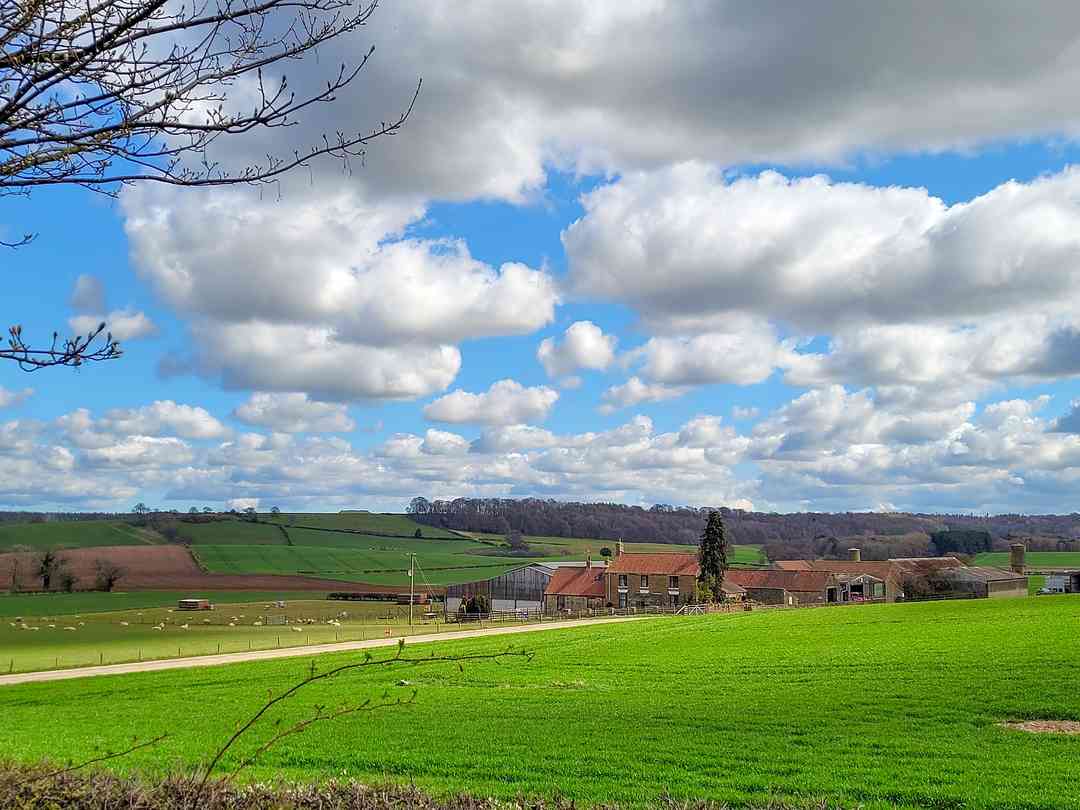 Cotril Farm Campsite (zdjęcie dodane przez administratora w dniu 25-07-2023)