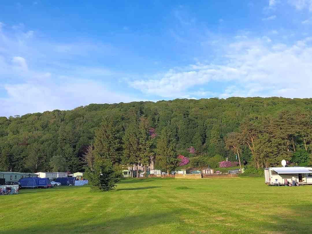 Castle Cary Holiday Park: Non electric grass field (photo added by michael_c219048 on 06/06/2022)