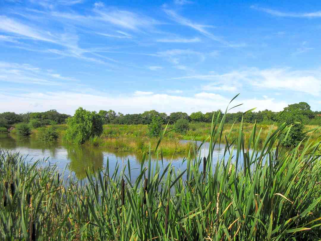Tarvin Sands: Lakes
