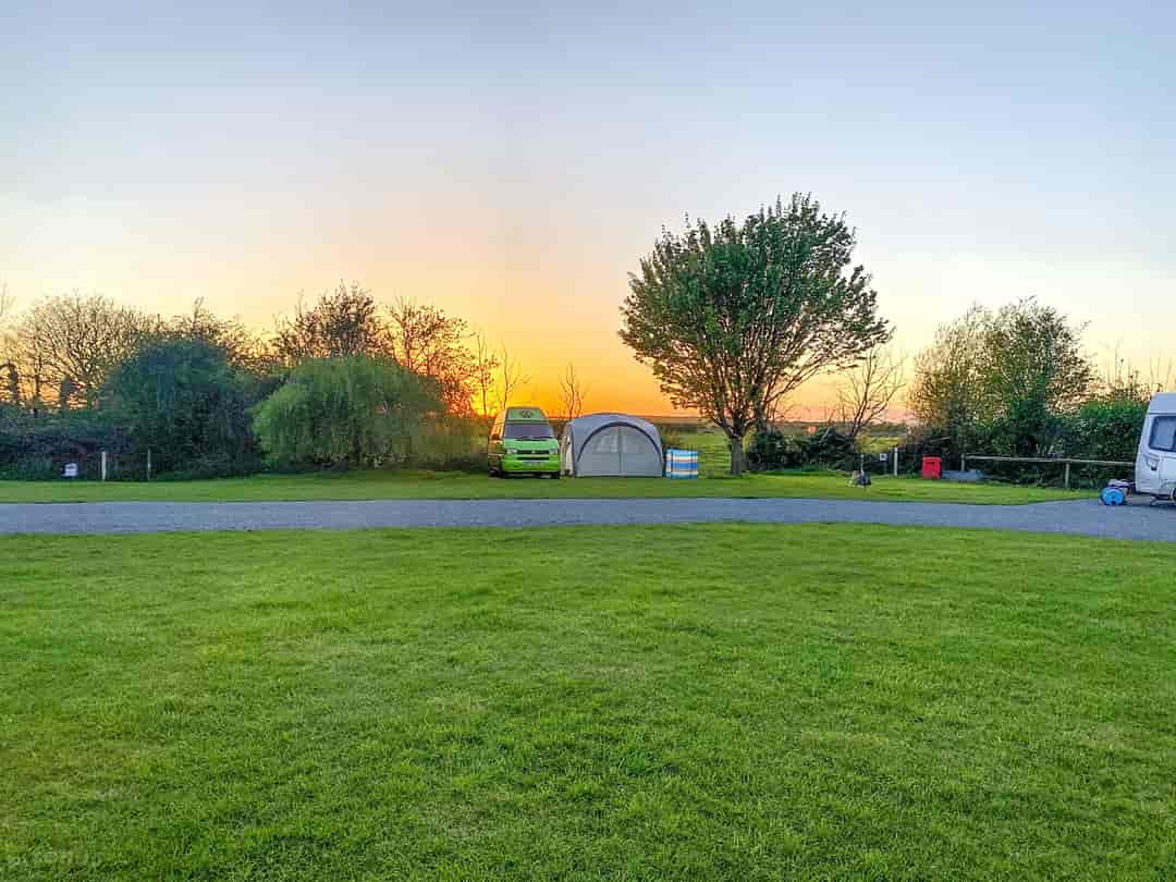 Cypress Farm Touring Park: Grass pitch at sunset