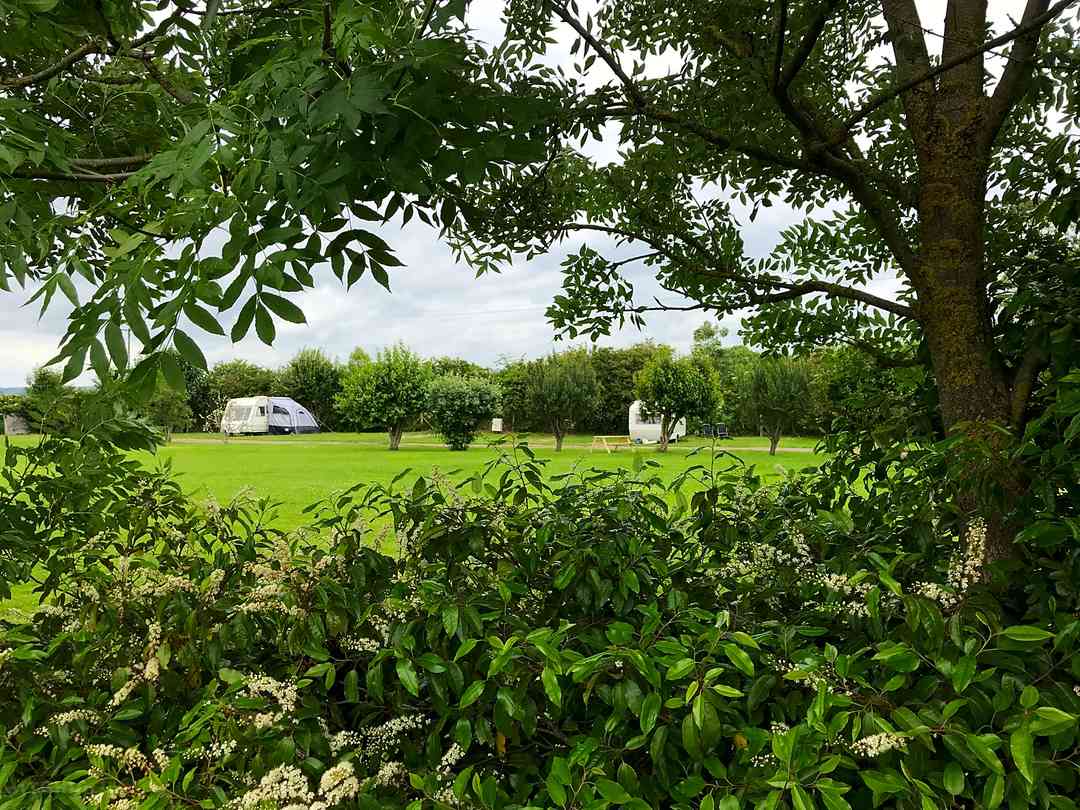 The Halfway Caravan and Camping Park: Lots of green
