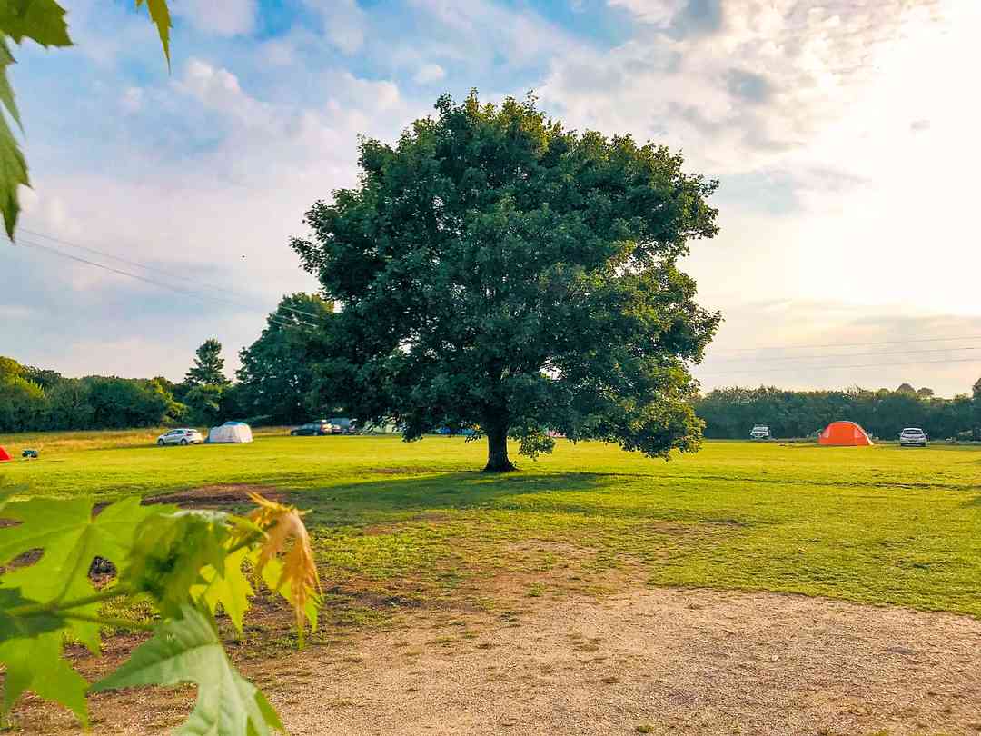 Ladybird Farm (fotot lades till av föreståndaren 2022-10-12)
