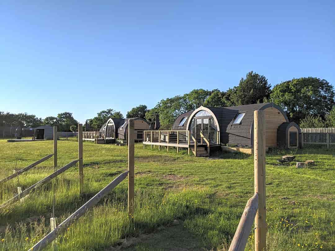 Wolds Wine Estate: Glamping pods with vineyard views