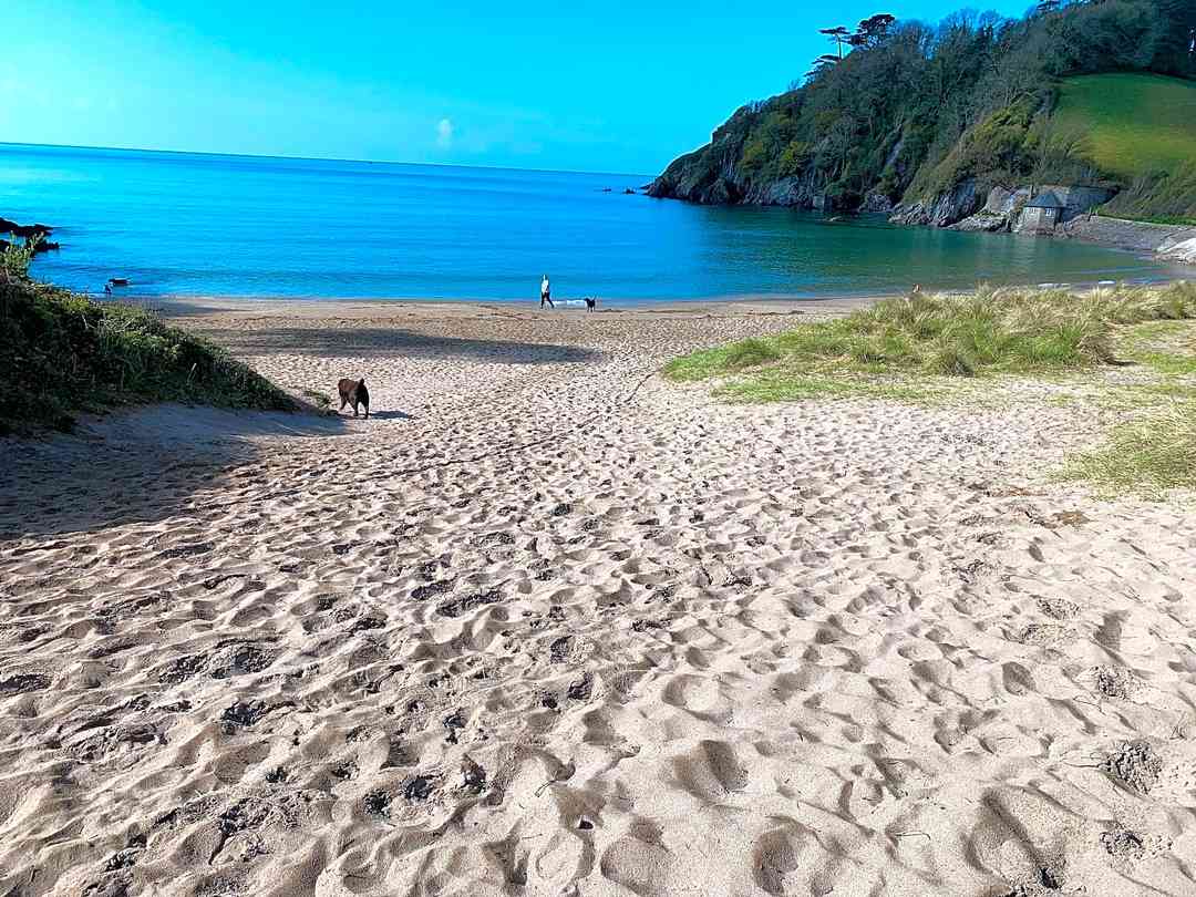 South Devon Wild Camping Plymouth Updated 2021 Prices Pitchup