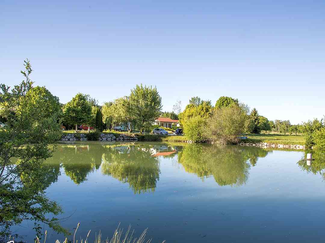 Camping Lac Saint-Georges: Le Lac Saint Georges permet de pratiquer un loisir populaire comme la pêche à la carpe au No-Kill. (photo added by manager on 08/01/2023)