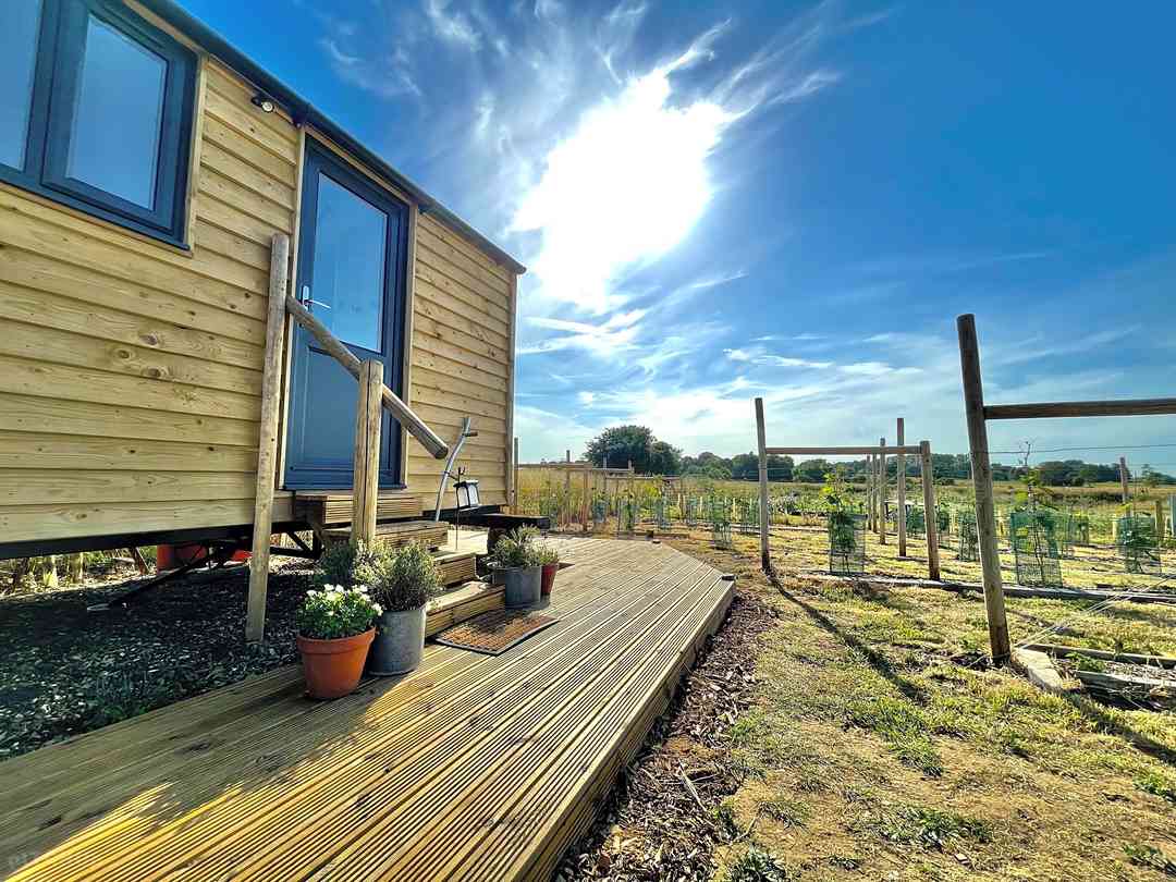 Bain View Glamping: Afternoon sunny deck amongst the vines