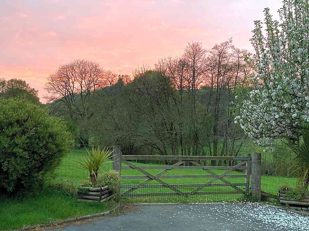 Western Meadows Glamping: Sunset over meadow (photo added by manager on 10/10/2022)