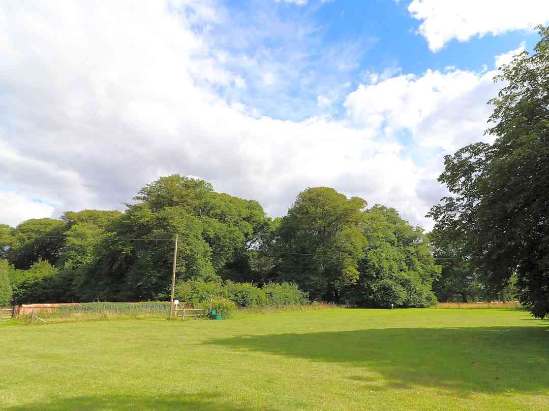 Grove Farm Caravan Site: Surrounded by trees