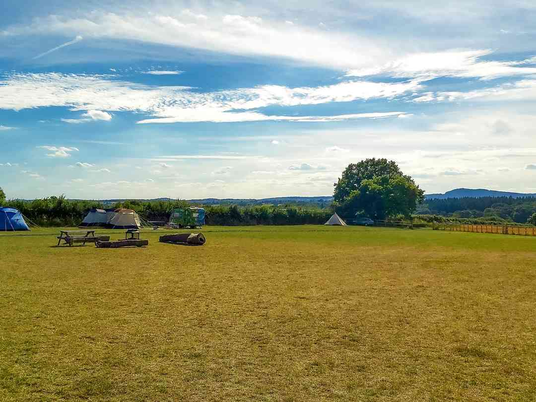 Twin Oaks Caravan and Camping: Visitor image of the communal campfire in centre (photo added by manager on 07/09/2022)
