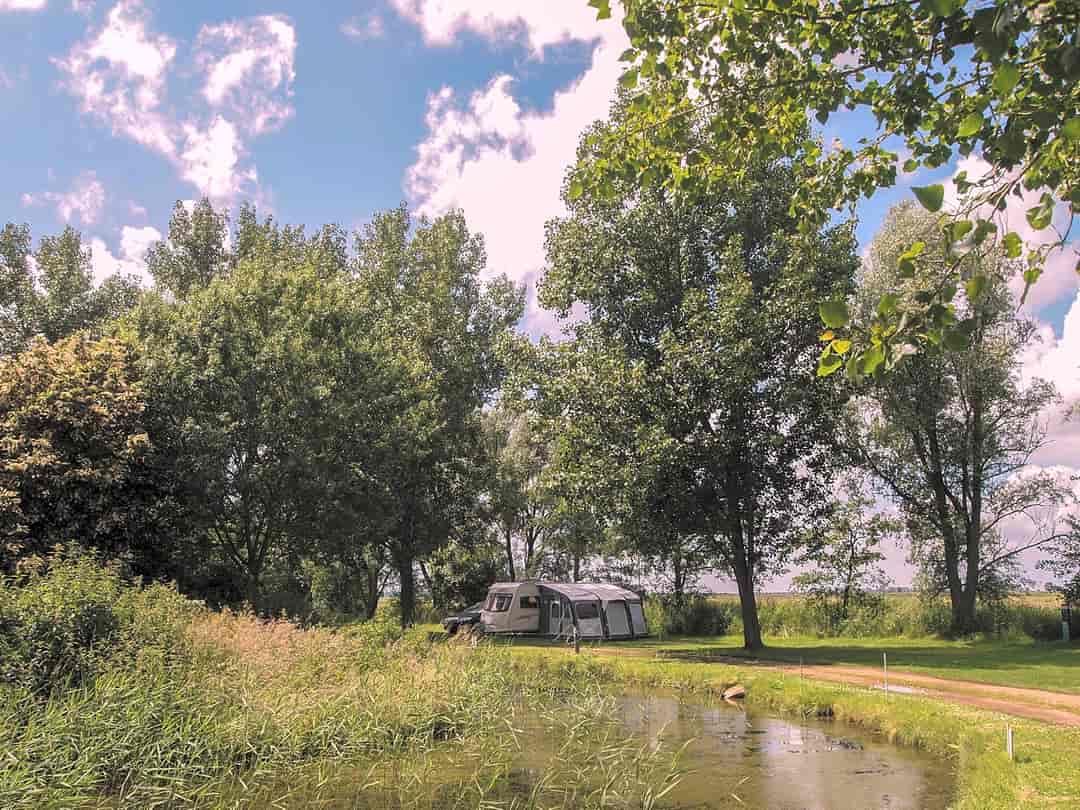 Reedham Ferry Touring and Camping Park: Pitches