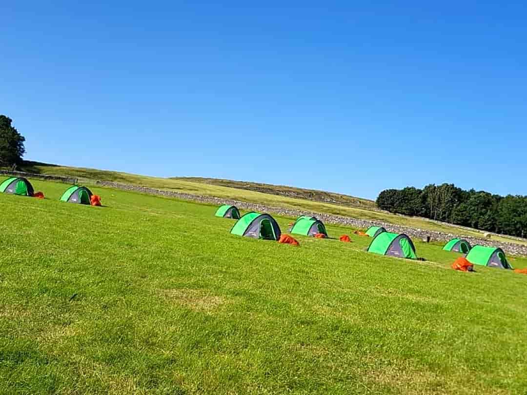 Gateham Grange Camping: View of the site