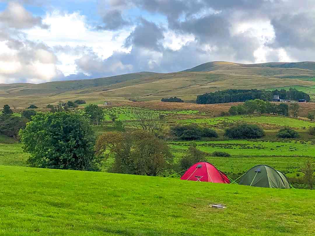 Netherings Campsite (фото добавлено менеджером 10.10.2022)