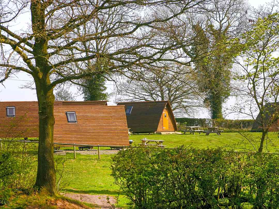 Wolferlow Wigwams: Wigwams as seen from Long Friday Wood