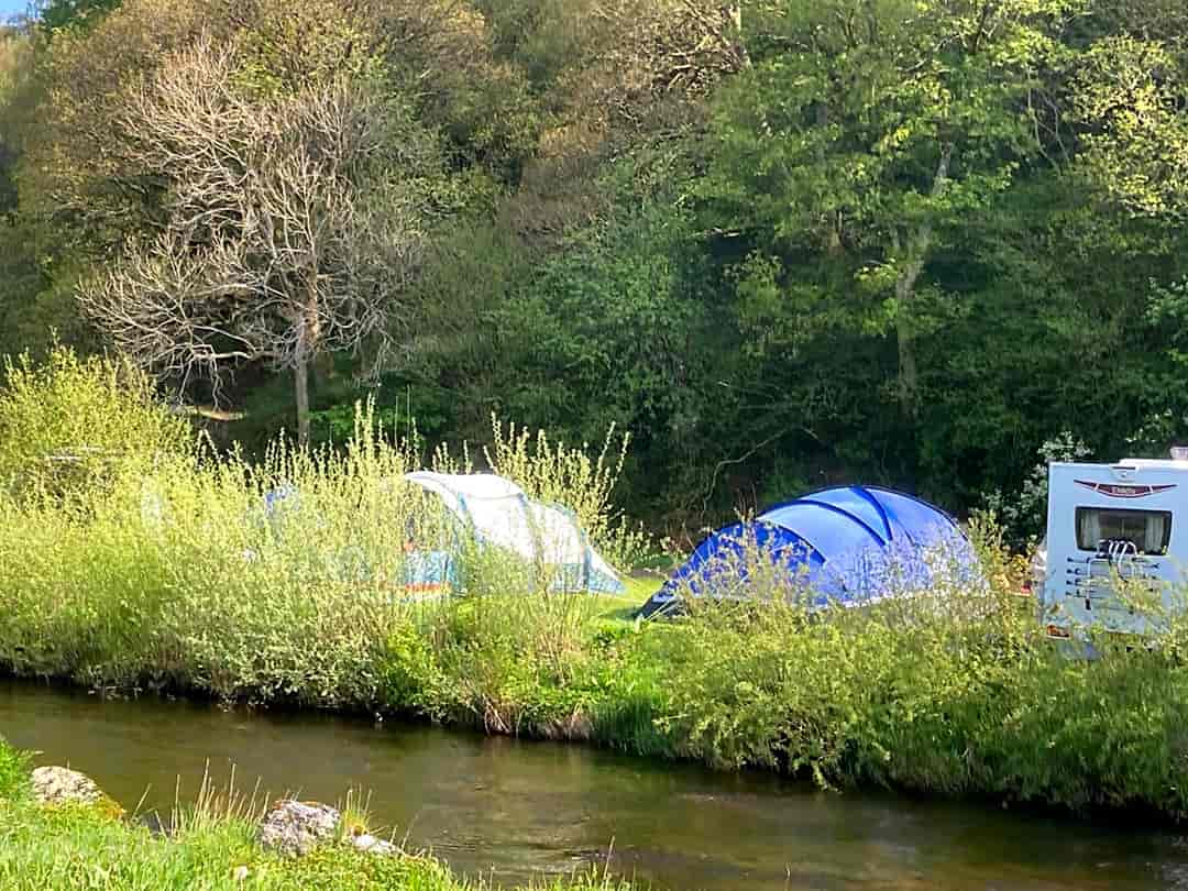 The Crown Inn and Campsite: Tents nestled beside the river