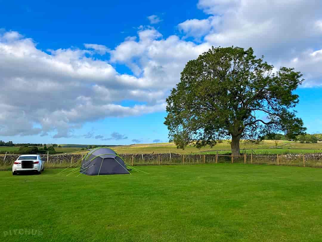 Five Acres Farm Campsite: views from the camp
