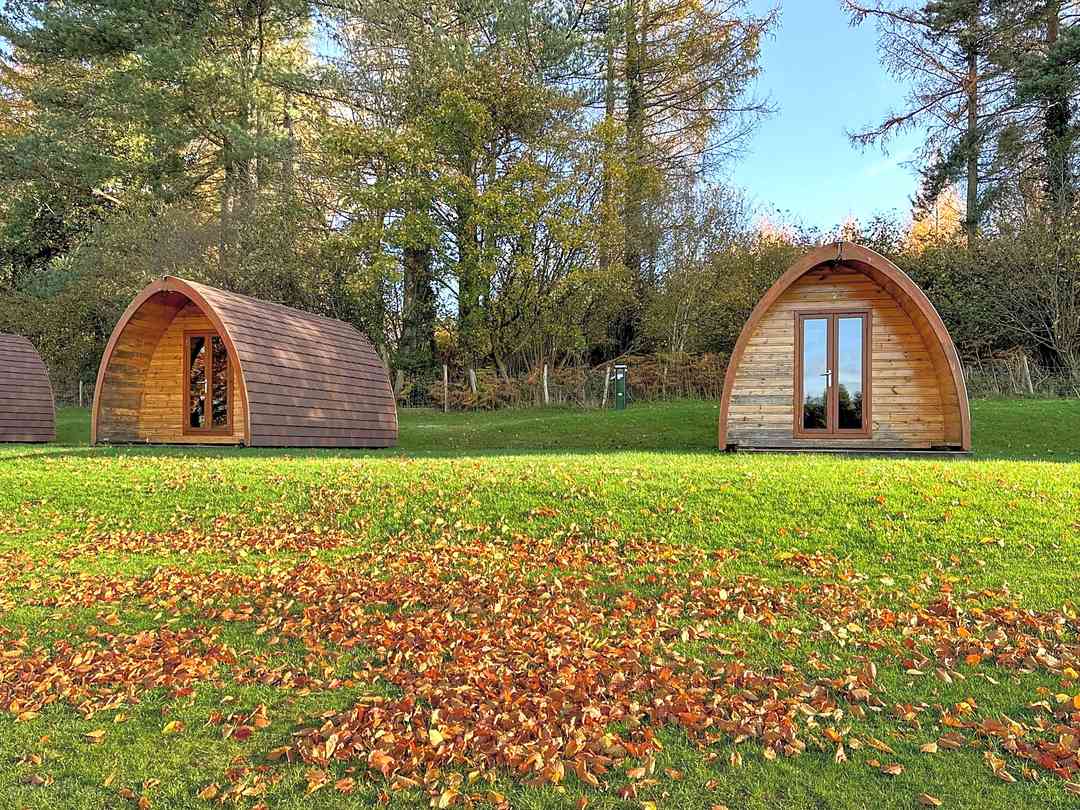 Bracelands Campsite: Camping pods