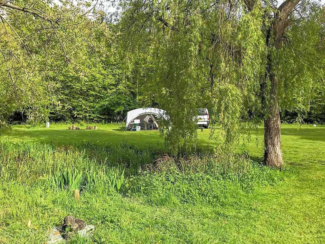 The Firs Fishery and Campsite: Visitor image of their pitch
