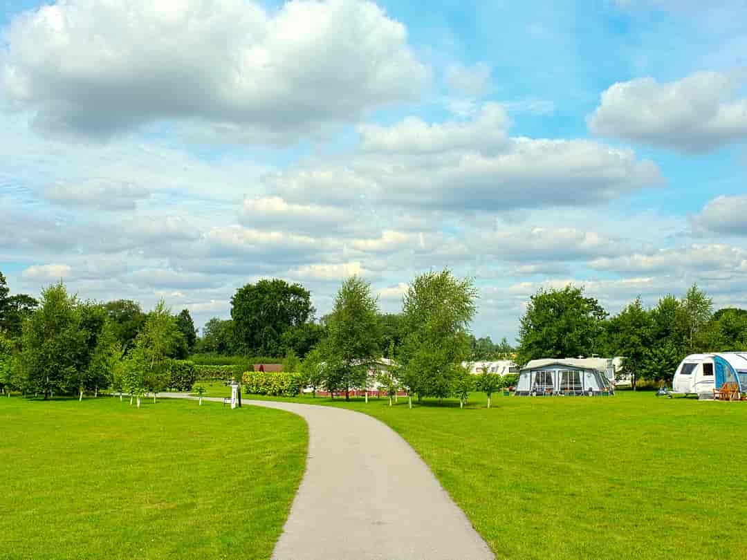 The Alders Caravan Park: Lots of space around the pitches