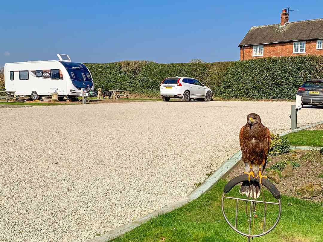 Irondale Touring Caravans and Campsite