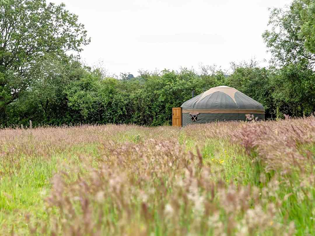 Surrey Hills Yurts (经理于2025年5月8日添加的照片) Surrey Hills Yurts (经理于2025年5月8日添加的照片)
