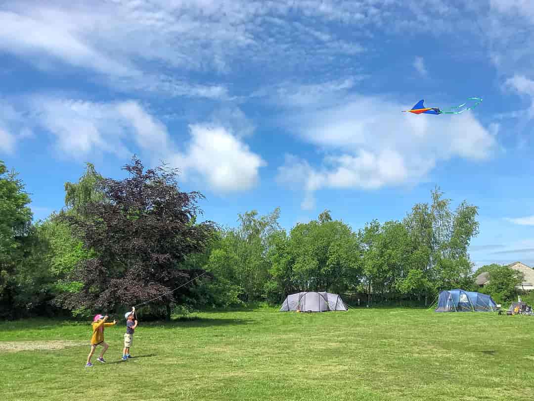Luckford Wood Caravan and Camping: Kite flying on site