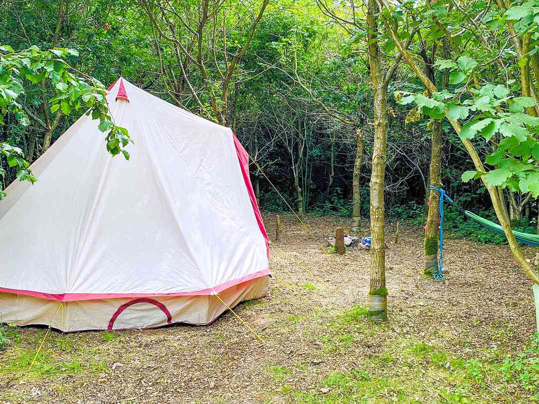 Fire and Stars Woodland Camping