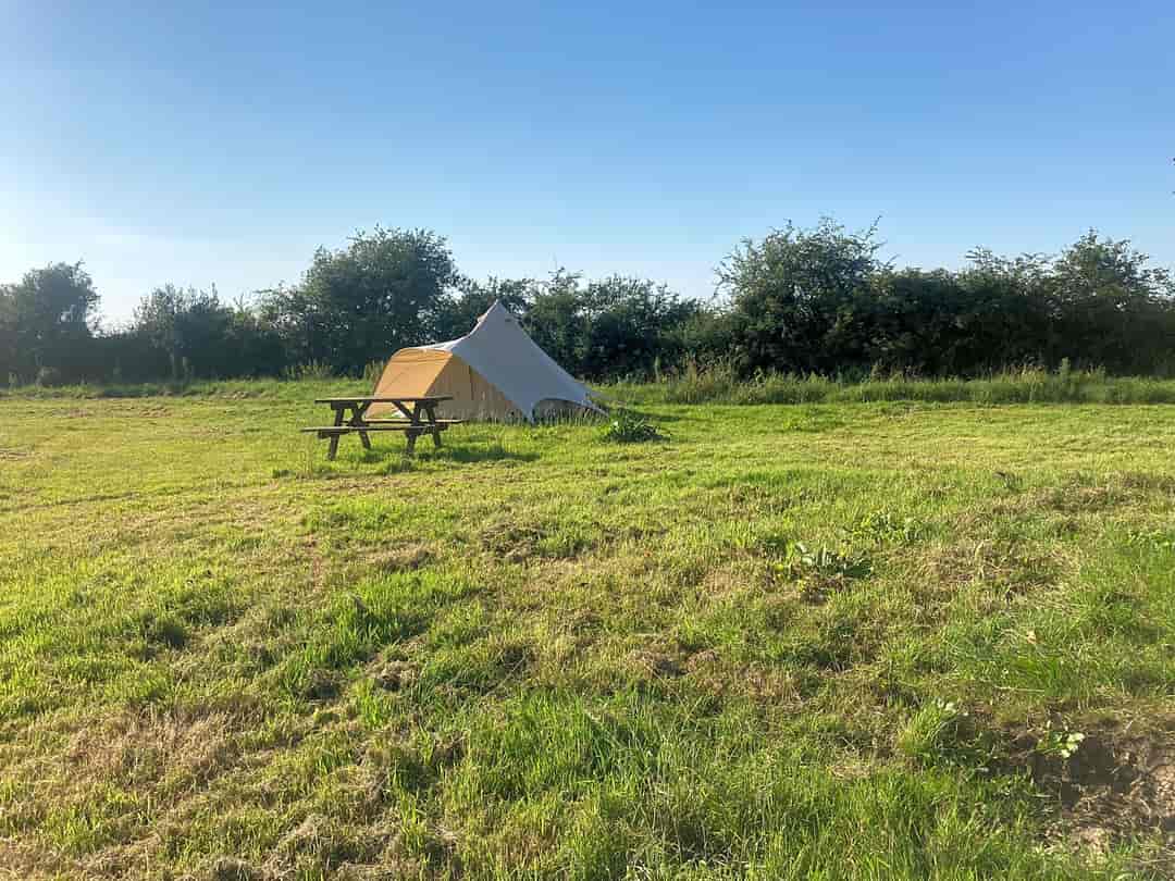 Willowbank Farm: Attractive tent with one of our picnic tables