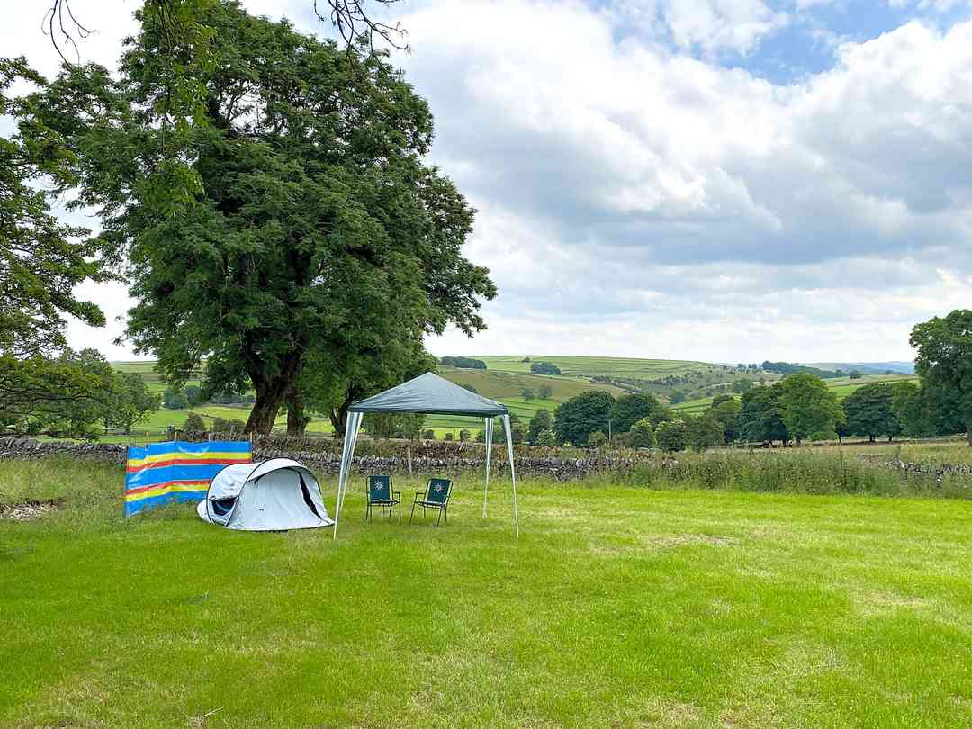 Parsley hay 2024 camping