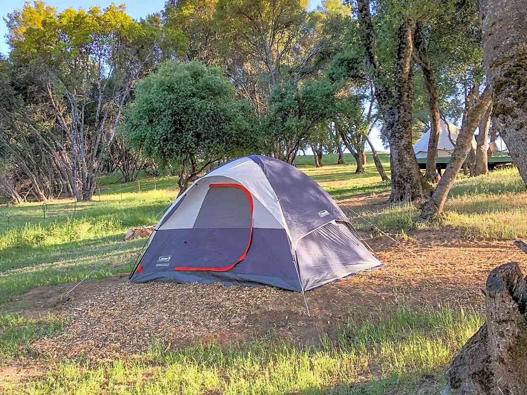 Tent campgrounds top