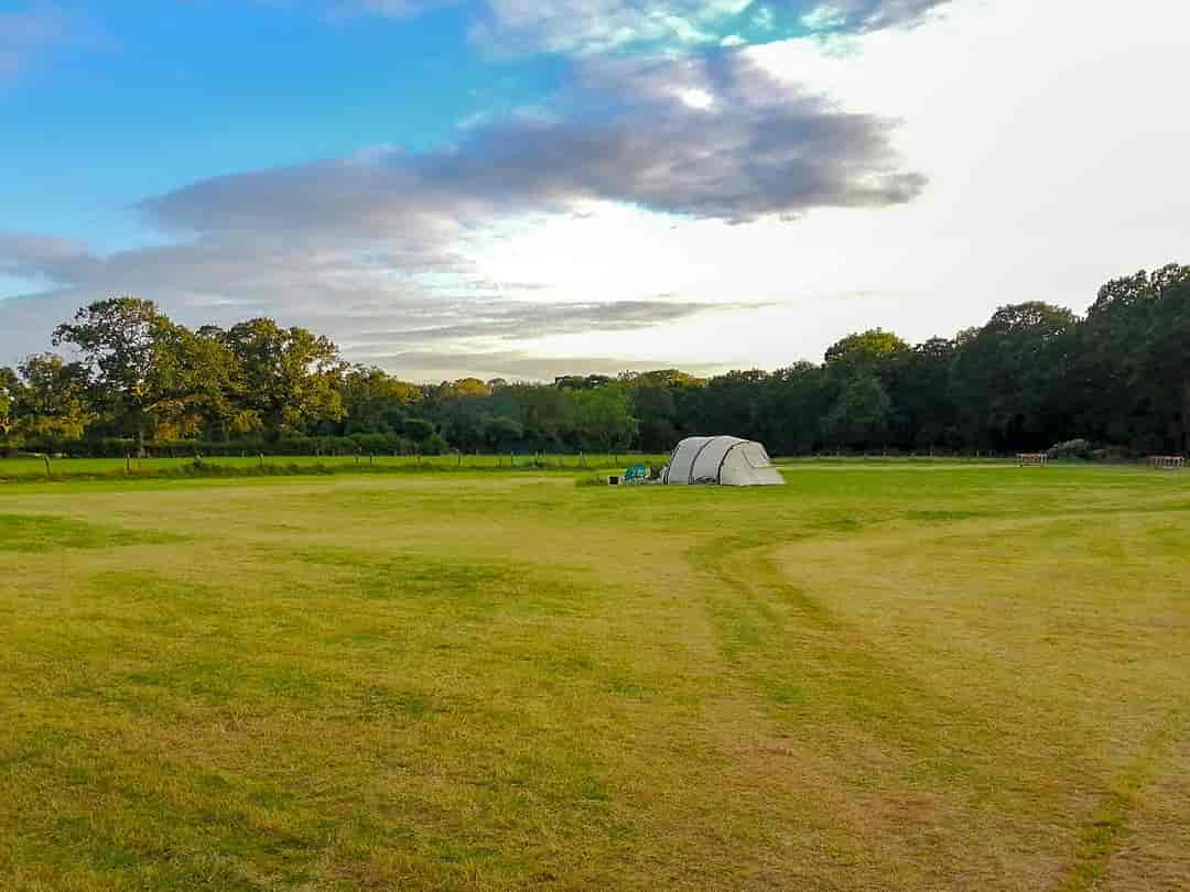 Camping at The Manor: Pitches