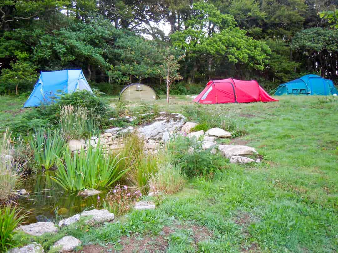 Acorn Camping and Glamping: Pitches on site