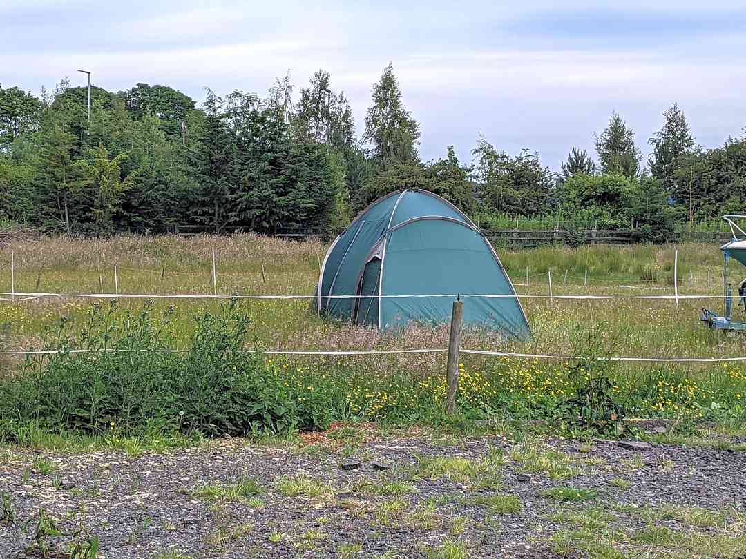 Find Cheap Tent Camping Sites In Newcastle Upon Tyne Tyne And Wear Pitchup