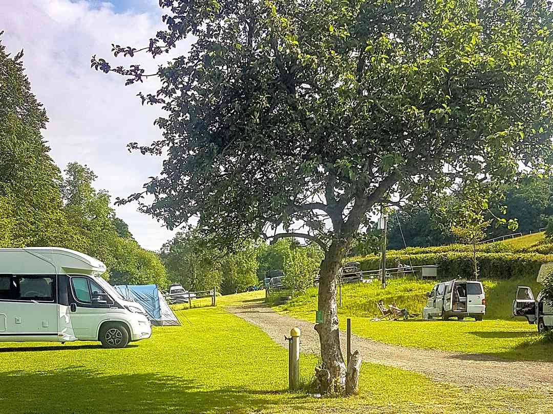 Cwmsoar Camping (фото добавлено менеджером 19.03.2025)