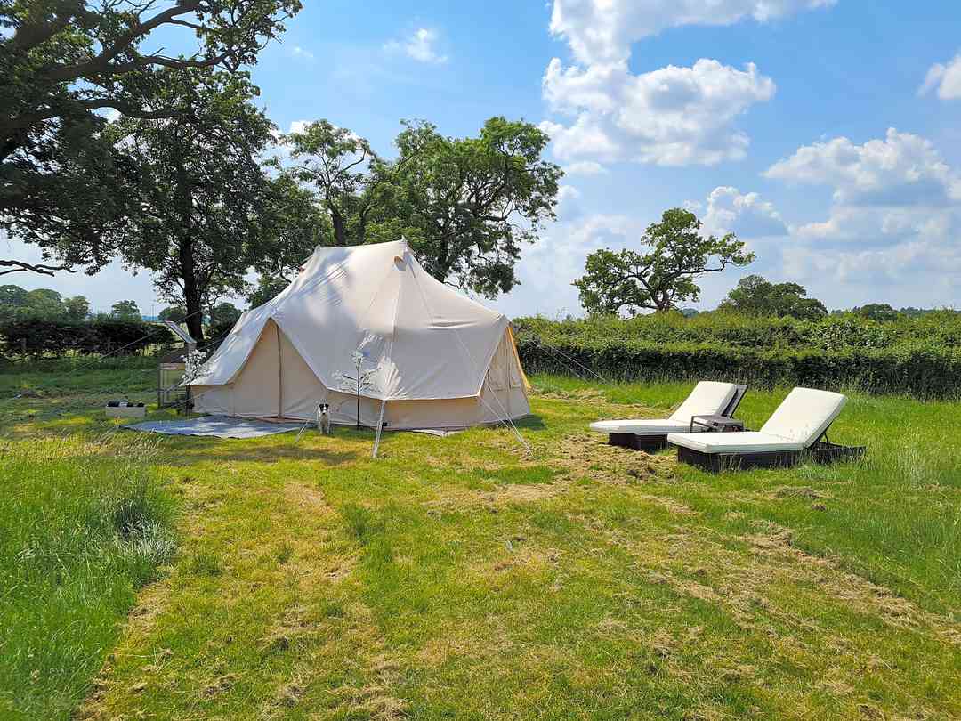 Bromson Hill Farm: Emperor (photo added by manager on 16/06/2023)
