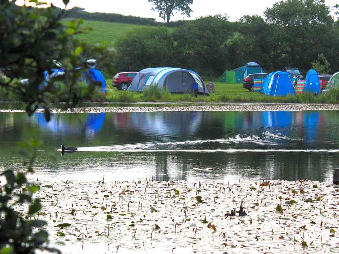 The Lakes At Pristine Springs Plat Map Carn Springs, Tenby - Updated 2022 Prices - Pitchup®