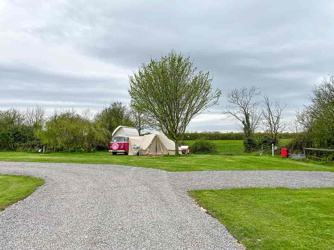 Cypress Farm Touring Park: Pitches on site