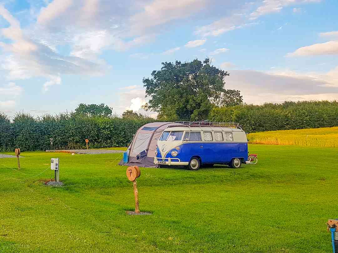 Little Acres Camping: Pitch on site (photo added by manager on 16/09/2022)
