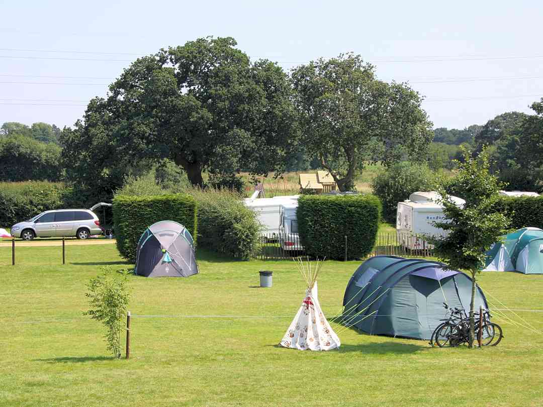 Non-electric pitches (photo added by manager on 07/26/2012) St Leonards Farm Caravan and Camping Park: Non-electric pitches (photo added by manager on 07/26/2012)