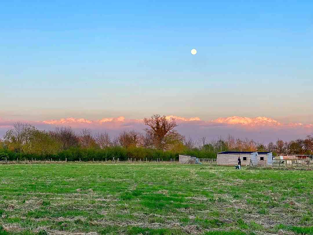 Huckleberry Farm: A beautiful sunset (photo added by manager on 24/08/2023)