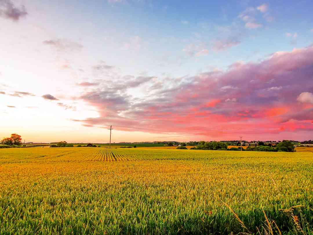 Larkrise Holiday Site