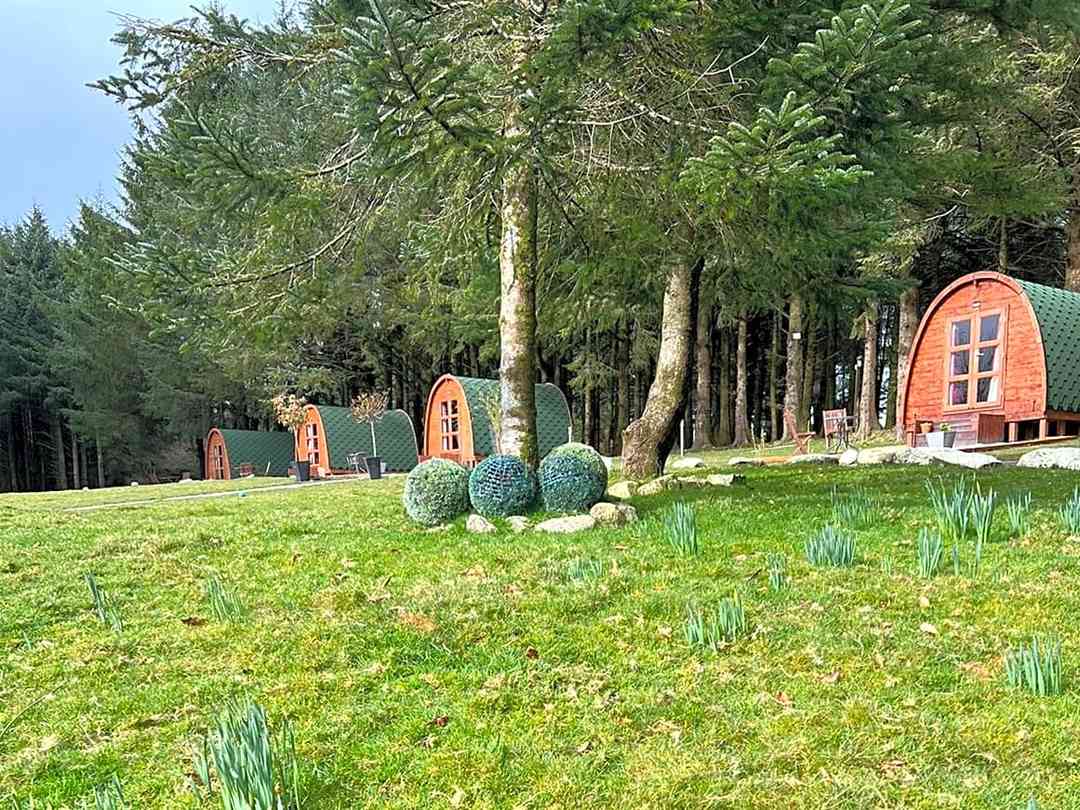 Colliford Tavern: Pods