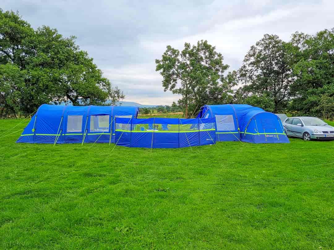 Primrose Park: Tent on the grass field