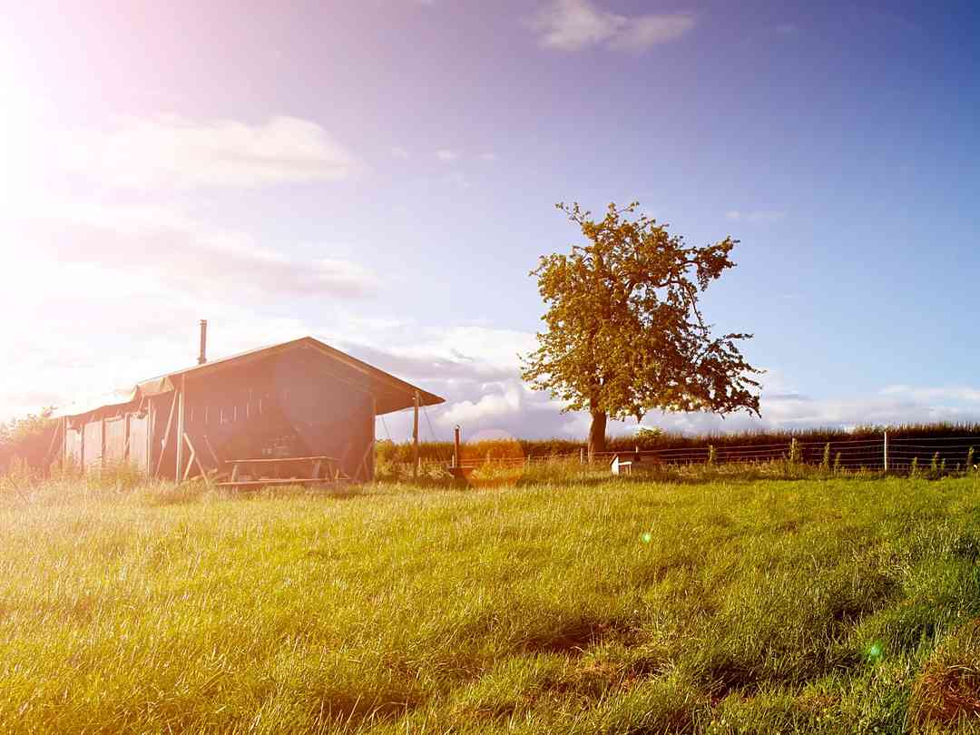 Feather Down - Canfields Farm: Exterior of the safari tent (photo added by manager on 07/02/2023)