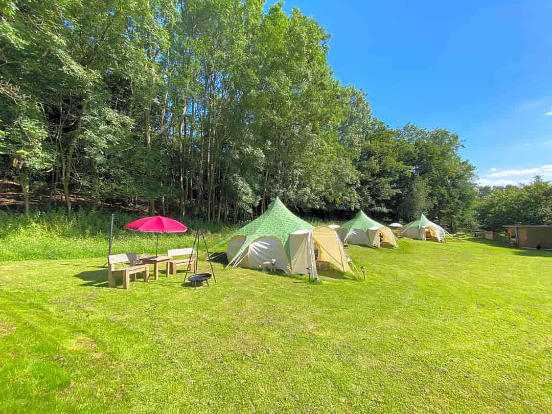 Owley Woods Glamping: Pygmy, Screech and Tawny Belles
