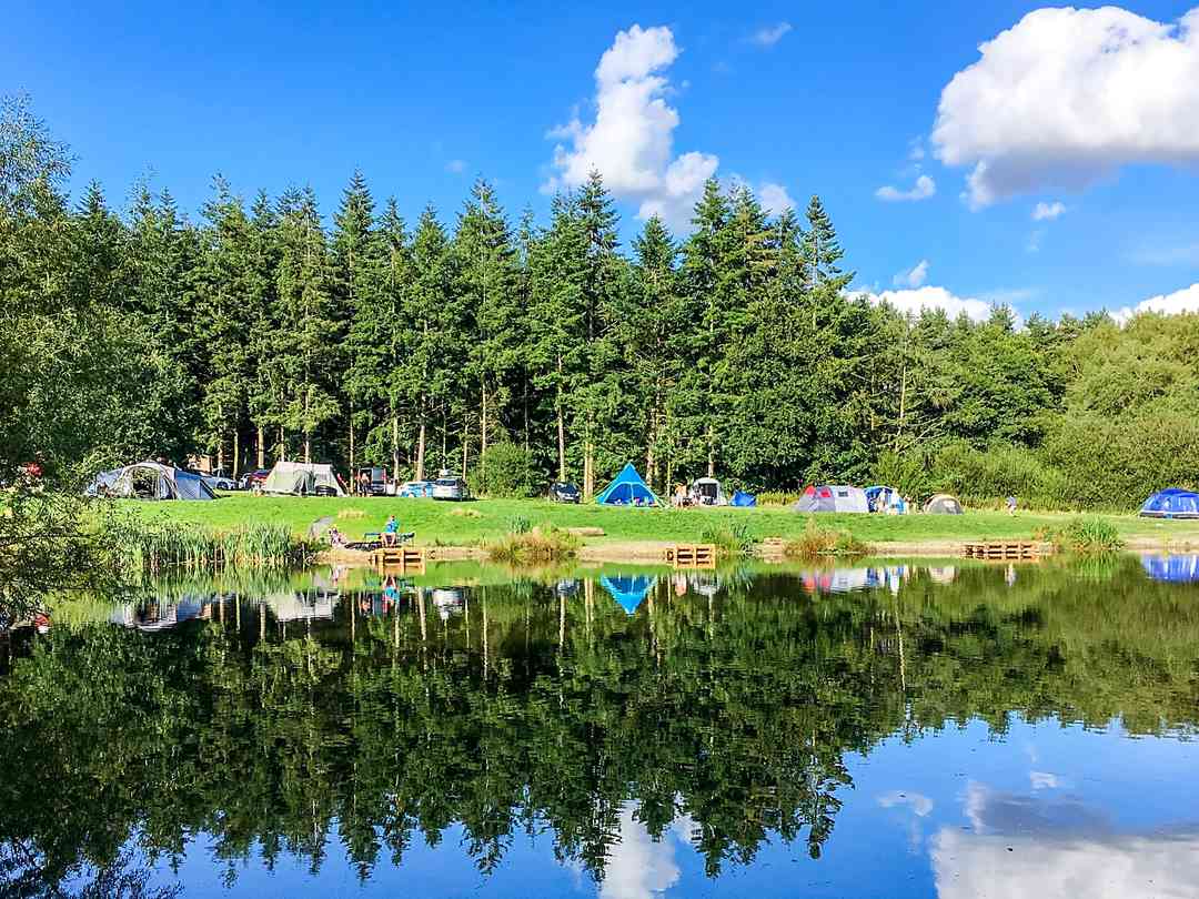 Church Stretton Camp and Fish (Oaklands)