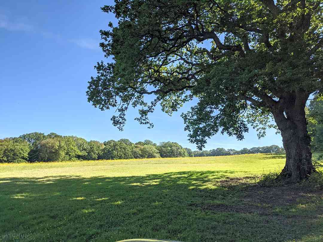 Warbleton Farms Campsite (fotot lades till av föreståndaren 2022-04-18)