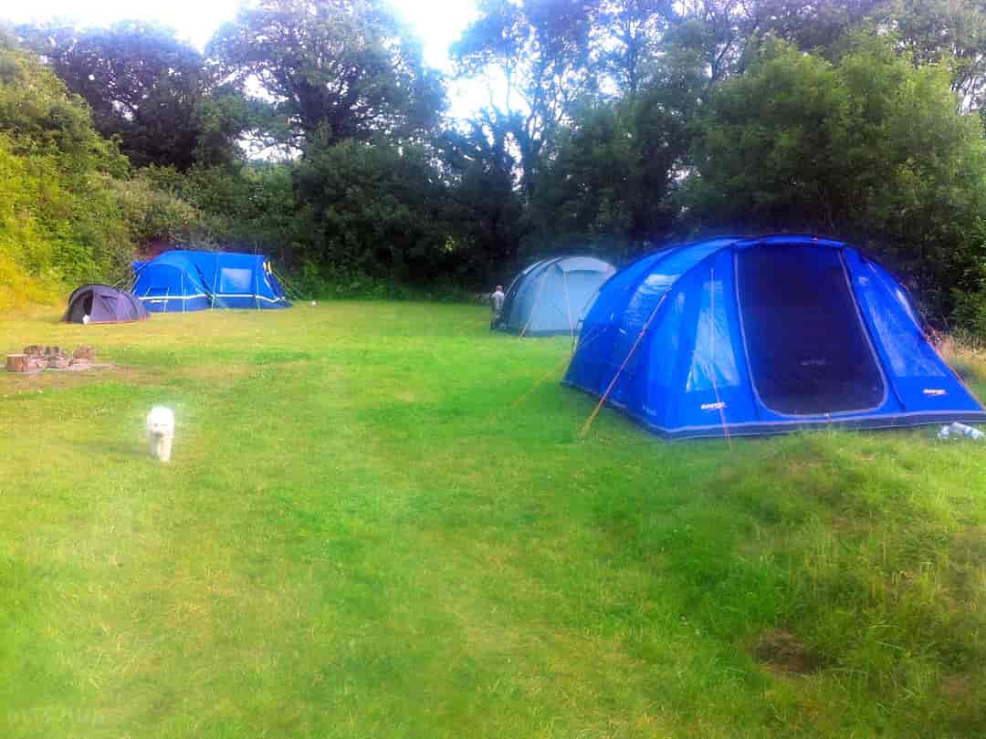 The Batch Campsite: We like to give everyone some space