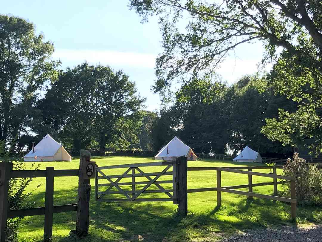 Best Campsites In Norfolk 2021 From 4 00 Book 30 Campsites On Pitchup