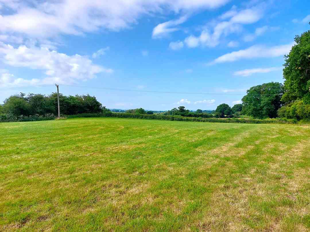 Bush Farm: View across the campsite (photo added by manager on 30/07/2023)