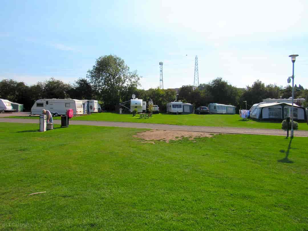 Tall Trees Touring Park: A sunny day on site